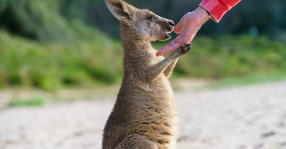 家庭でできるエコな生ごみ処理方法としてのコンポストのイラスト