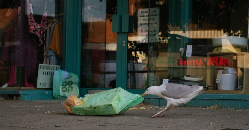 生ごみ処理機補助金申請時の注意点と成功のコツを示すイラスト