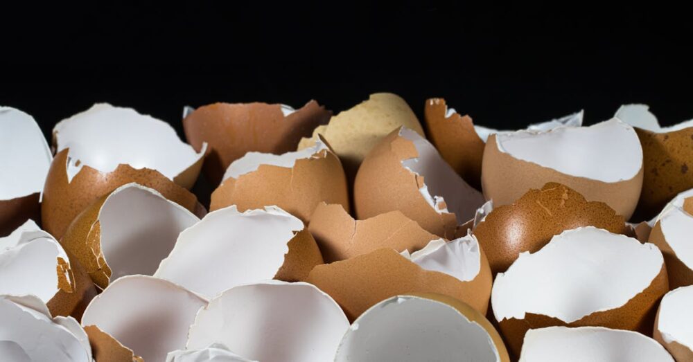 生ごみを処理して堆肥に変える家庭でのエコ活動