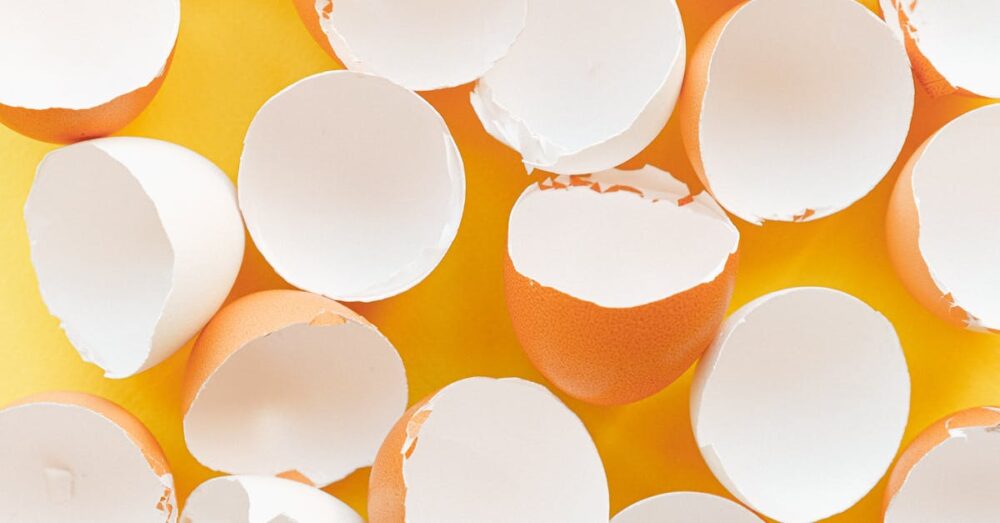 自作生ごみ処理機の組み立て手順を解説する写真